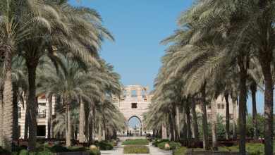 General Shoot, October 2017, Auc New Cairo Campus, Auc Portal