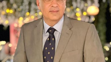 د هاني سويلم وزير الري