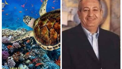 ٢٠٢٣٠٢١١ ١٢٥٦٤٨ Collage