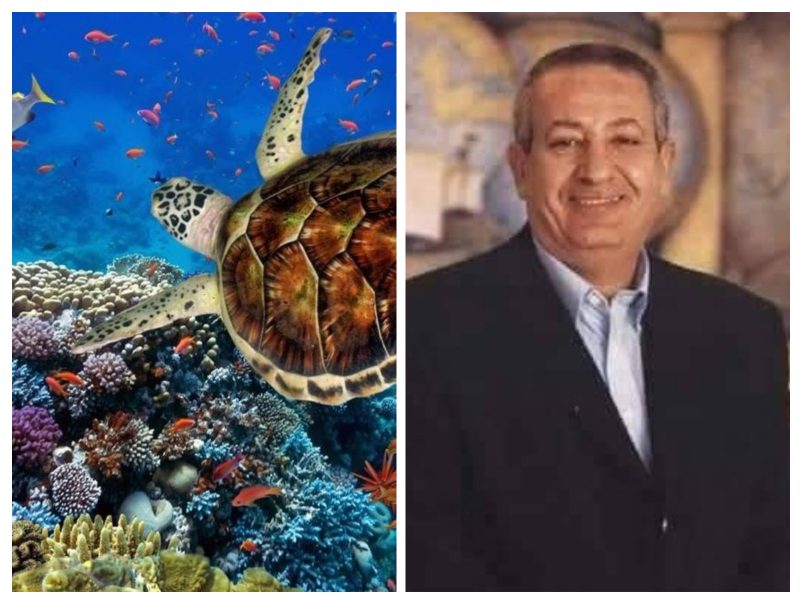 ٢٠٢٣٠٢١١ ١٢٥٦٤٨ Collage