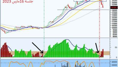 Received 1305772359977270