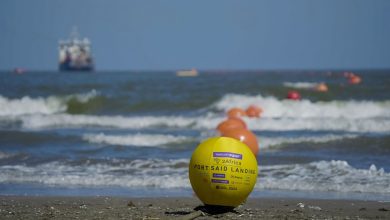 9016c954 Daa3 44f5 9327 416feff8d384