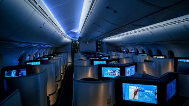 D6b235ff E4a6 4282 93bb D598e25a9cfe