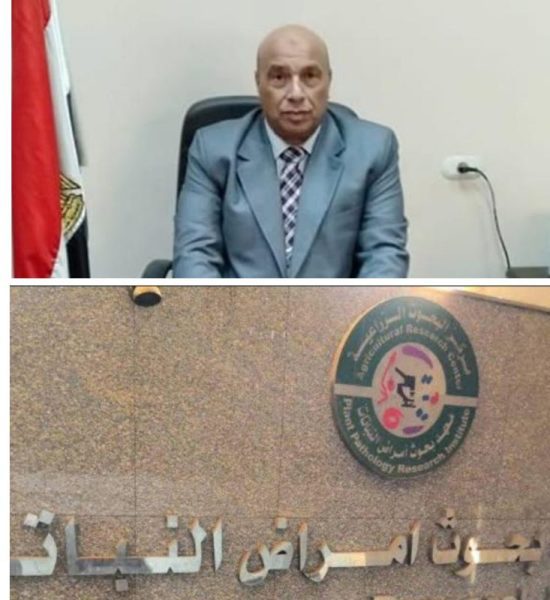 ٢٠٢٣٠٥٠٣ ٢٠٢٠٤٠ Collage~2