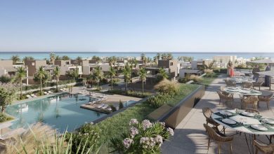 7f2202b9 17d1 463c Bcb5 B15d522284a6