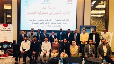 الامن السيبراني