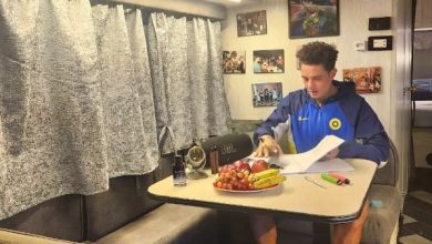 أحمد الفيشاوي 2