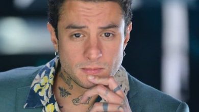 أحمد الفيشاوي