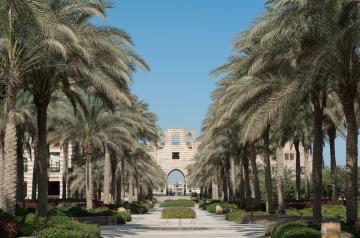 Auc Campus