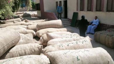 سعر توريد قنطار القطن