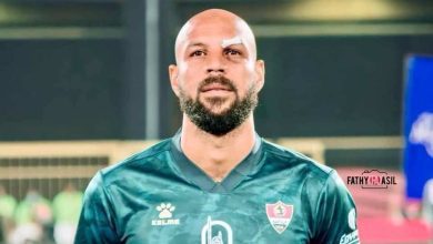 محمد فتح الله