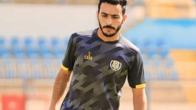 محمود الشبراوي