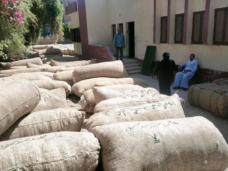 سعر توريد قنطار القطن