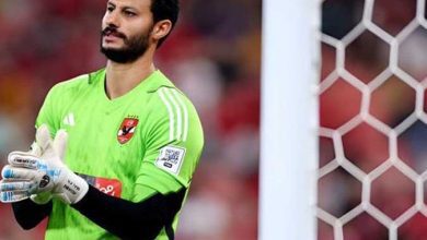 محمد الشناوي