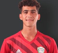 علي حمدي