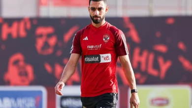 عمرو السولية