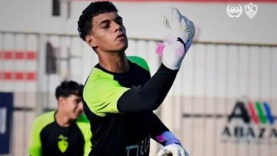 محمود الشناوي