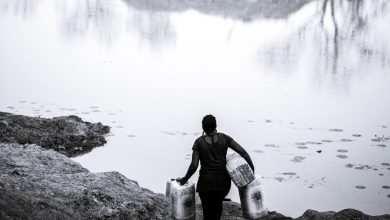 Whatsapp Image 2024 09 01 At 10.39.26 B1e50fe4