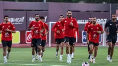 3dfc13d205710f3a7a3b446aea911232