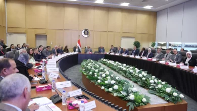 22f3ecd3e7014a308e969de137e495f0