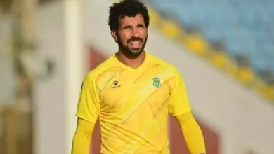 55d6a0416e5282bf7c9c162d68f96e78