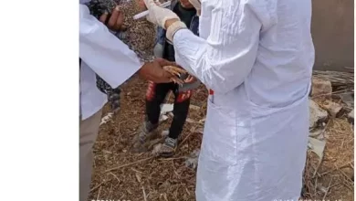 61d6c2b8984c73df607c98daaf58fe75