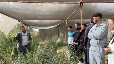 7945e15be3a6c1e0e3922375dc0e01a9