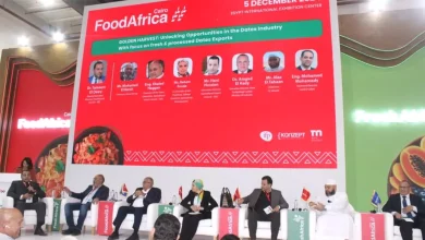 8203bb0be3f9240b6de4223614f49f19