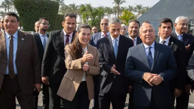 9ff06e1114a7b5c8edb19fb21eda2541