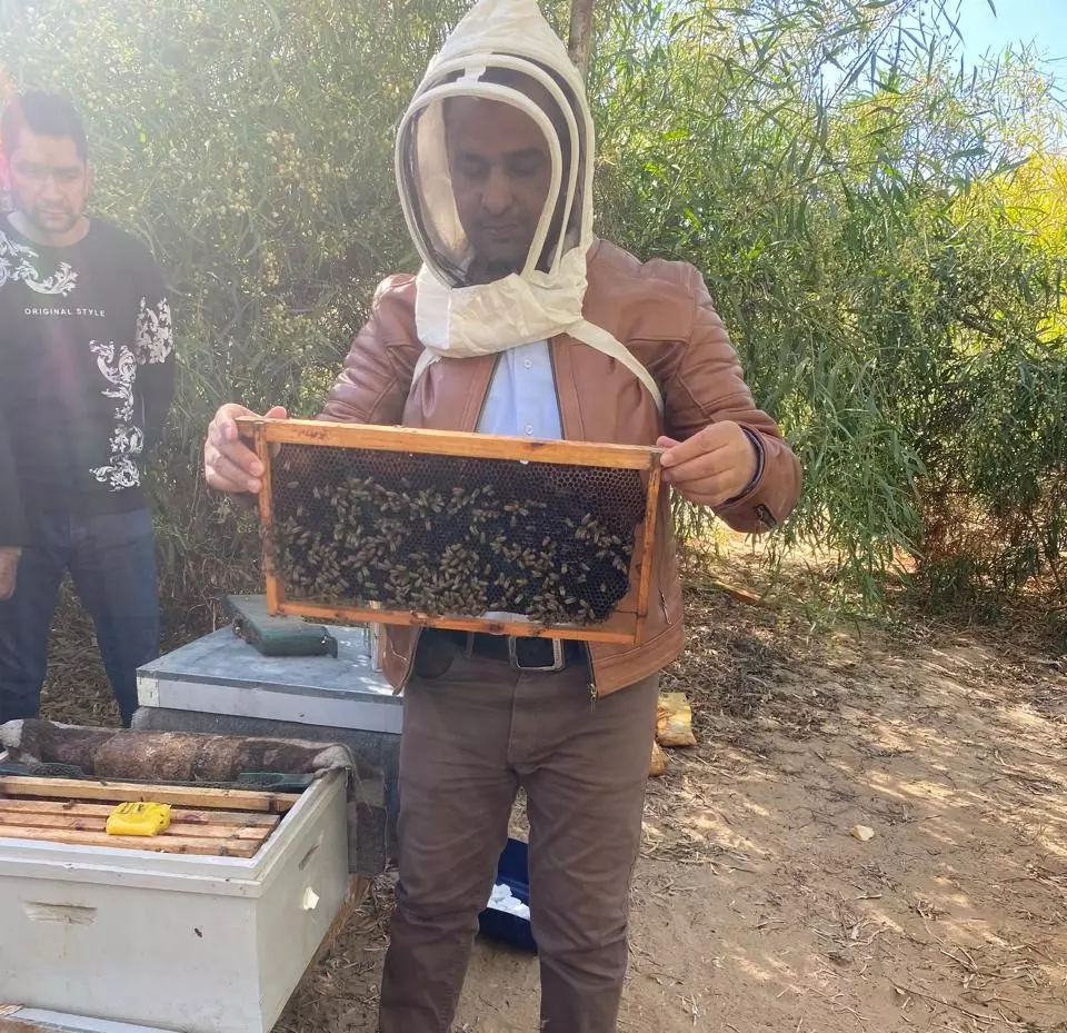 C076502ec8e8f3f186a1648a801f9505