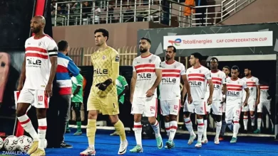 D3d05d186cee0405f17631e27be9cdc1