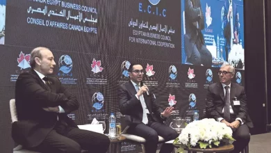 117ffcb4defea6af0461cca11f78901c