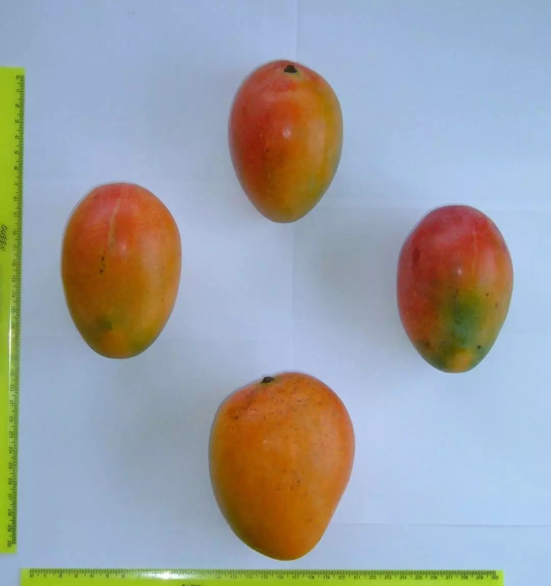 4062e0756166af333869771ca7296cde