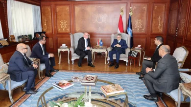 9325c113a32a4910e8e4797f867098e7