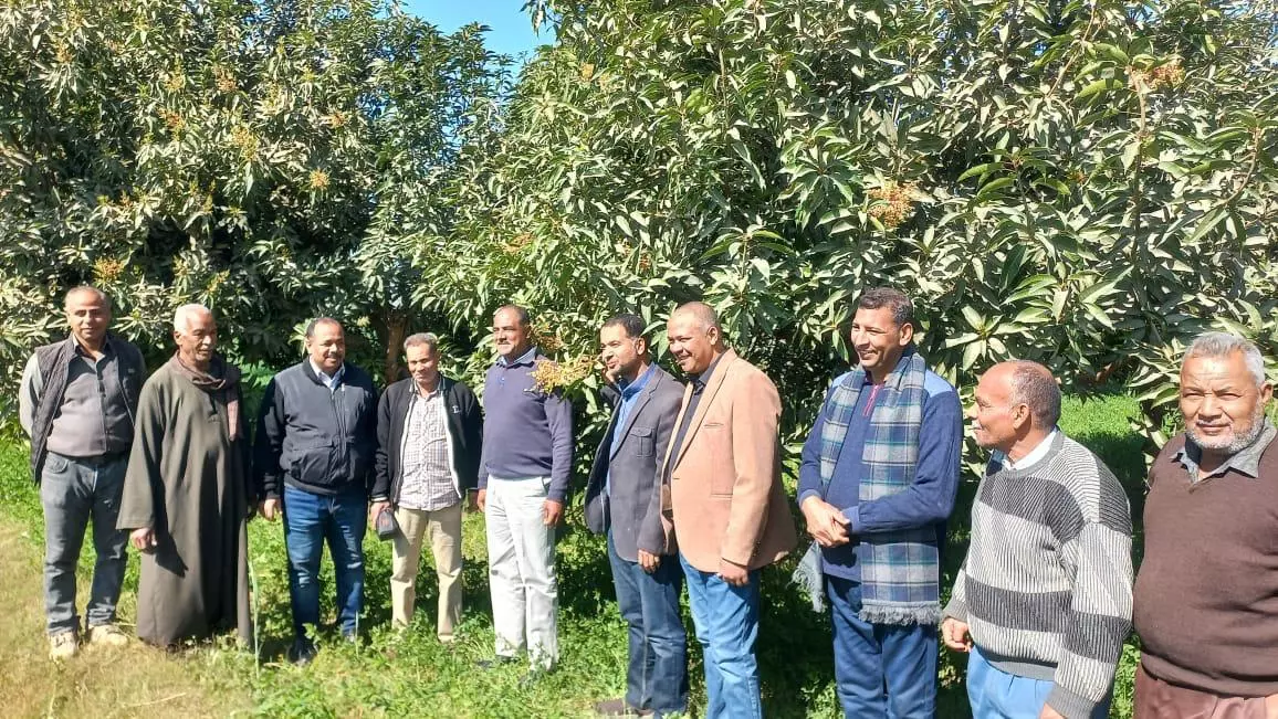 C334423de6128ede3a1072af31d3a1b5