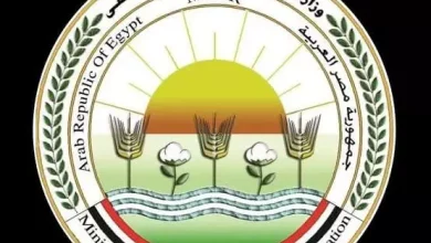 E8b4d606c1615da76e35edf17a76ba2d