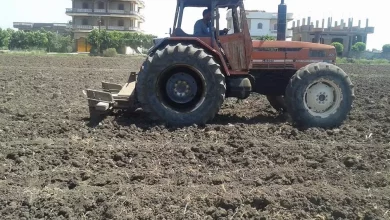 006da12c622d3d7264f0e5335b05e593