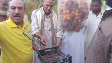 0aaf2bfddaef6de50f858ebde247d43d