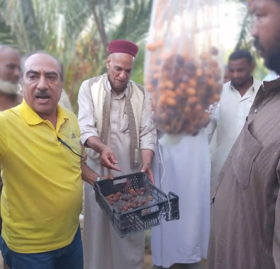 0aaf2bfddaef6de50f858ebde247d43d