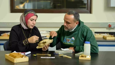 0ee76190e473d18ea9199c219b2b412d