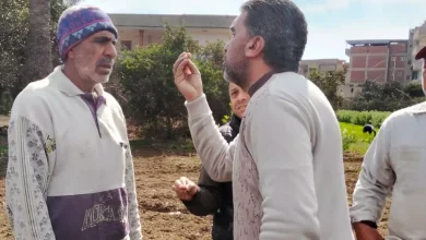 1d143a4648e476e30110da944312a8f9