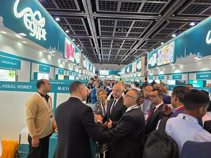 3f50048941f94ca178bdc6d0d2cef500