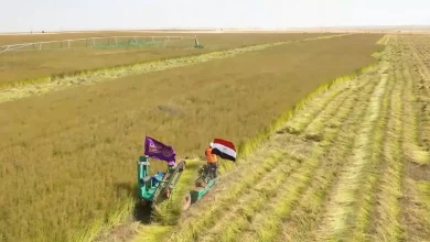 4808a163a43132feb92f6b6eb564ae30