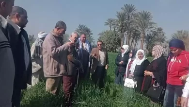 4e9ee384d8cc63670aa136217f212b5d