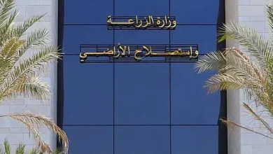 54ca50c70866fc081240105be282247d