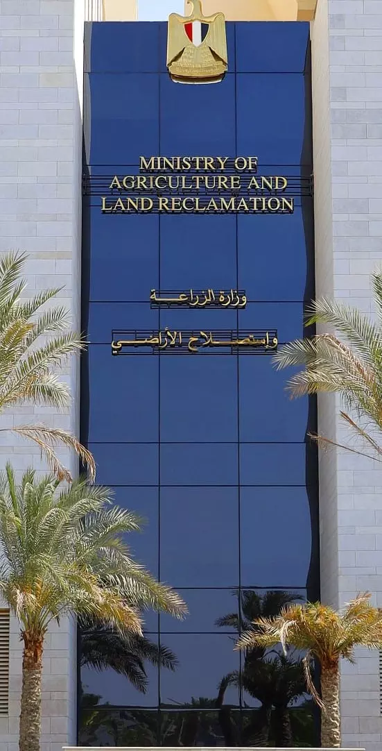 54ca50c70866fc081240105be282247d