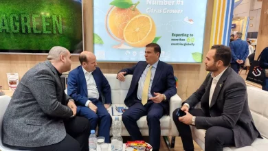 7c5ef7fce45b90d67ebe2b6b6a38d848