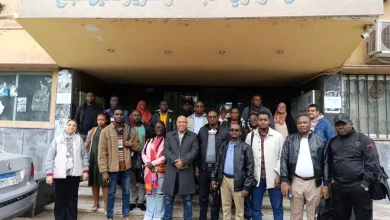 935bc80645adbdd8b9f64feedf12ecf0