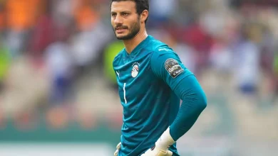 955662987ce8758029515832d138f393