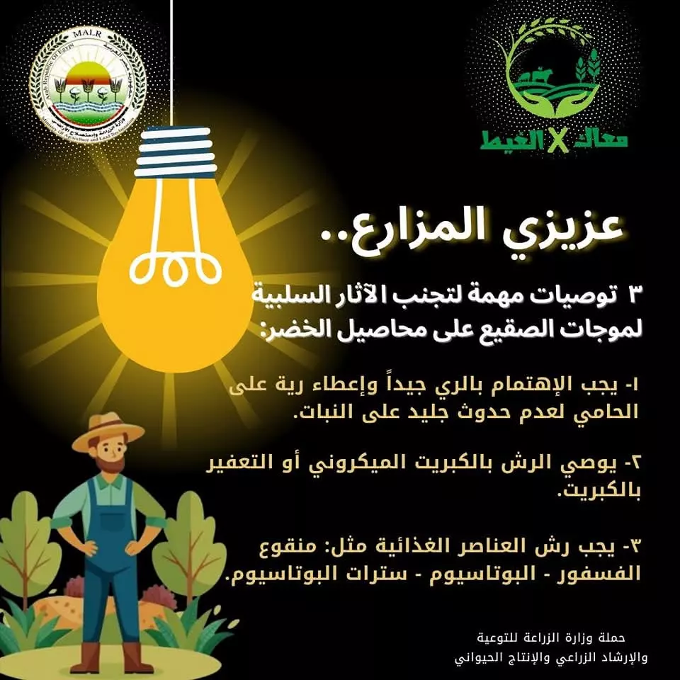 Abd6791622c08ae73e7bfa2e55f74a08